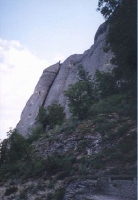      full size image
