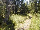 Filename=DSCN0018.jpg
Filesize=75KB
Размери : 480x360
Дата на добавяне : Авг 28, 2004 DSCN0018.jpg