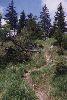 Filename=Image03.jpg
Filesize=26KB
Размери : 192x283
Дата на добавяне : Ноем 17, 2003 Image03.jpg