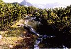Filename=mx04.jpg
Filesize=85KB
Размери : 389x268
Дата на добавяне : Авг 10, 2004 mx04.jpg